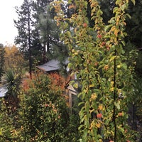 Lake Tekapo Cottages 5 Tips