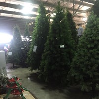 unique novelties