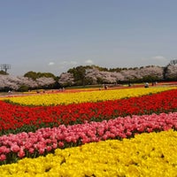 花ひろば展望台 桑名市 三重県