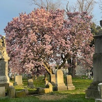 Photo taken at Glenwood Cemetery by Yair F. on 4/5/2021