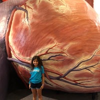Photo taken at The Giant Heart Exhibit by Marla R. on 8/18/2018
