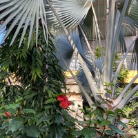 Photo taken at Parc Floral de Nice by V. on 5/27/2021