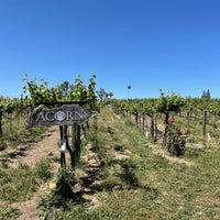 รูปภาพถ่ายที่ ACORN Winery โดย Andrew N. เมื่อ 5/7/2021