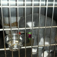 petsmart hurstbourne