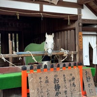 Photo taken at Kamigamo-Jinja Shrine by saboten_no_hana on 2/4/2024