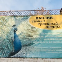 Photo taken at Зоопарк by Дмитрий В. on 11/22/2017