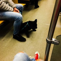 Photo taken at Maniny (tram, bus) by Britney 👸🏼 on 3/1/2020