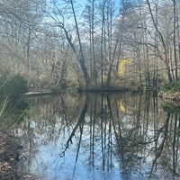 Photo taken at Tiergarten by Оксана Л. on 3/17/2024