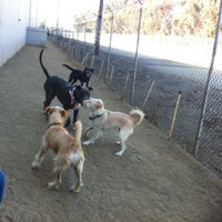 Photo taken at TBWA\Chiat\Day Dog Park by Kristina K. on 10/1/2012
