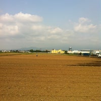 尾上いちご園 海老名 2 Tips From 22 Visitors 尾上いちご園 海老名 2 Tips From 22 Visitors