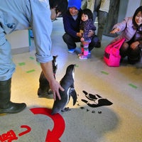 おさかな館 Aquarium