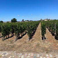 Photo taken at Pomerol by Baltazar S. on 7/31/2022