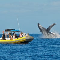 Foto diambil di Ultimate Whale Watch oleh Ultimate Whale Watch pada 11/9/2015