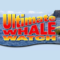 Photo taken at Ultimate Whale Watch by Ultimate Whale Watch on 11/9/2015