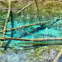 神の子池 Lago Em Kiyosatocho 北海道