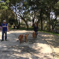 Photo taken at Parque Jacarandas by Annie C. on 10/11/2015