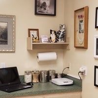 spring creek animal hospital tomball