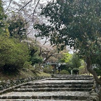 Photo taken at Arashiyama Park by H on 4/9/2024