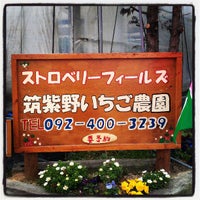 ストロベリーフィールズ 筑紫野いちご いちじく農園 Fazenda Em 筑紫野市 ストロベリーフィールズ 筑紫野いちご いちじく農園 Fazenda Em 筑紫野市