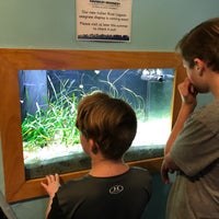7/2/2019にSerge J.がHarbor Branch Ocean Discovery Visitors Centerで撮った写真