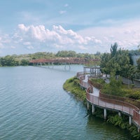 Photo taken at Lorong Halus Wetland by Jasmine T. on 2/2/2019