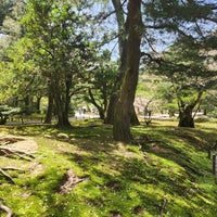 Photo taken at Kenrokuen Garden by Alerrandro C. on 4/16/2024