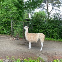 Photo taken at Yagiyama Zoological Park by るん る. on 11/9/2023
