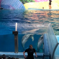 Photo taken at Dolphin Adventure Theater by Debbie E. on 6/29/2022