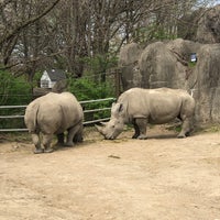 Photo taken at White Rhino Exhibit by Debbie E. on 4/7/2021