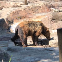 Photo taken at Brown Bears by Debbie E. on 6/29/2022