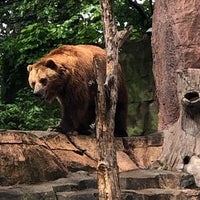 Photo taken at Brown Bears by Debbie E. on 5/25/2022
