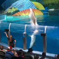 Photo taken at Dolphin Adventure Theater by Debbie E. on 6/29/2022
