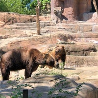 Photo taken at Brown Bears by Debbie E. on 6/29/2022