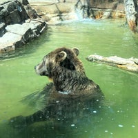 Photo taken at Brown Bears by Debbie E. on 6/29/2022
