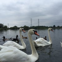 Photo taken at Lee Valley Regional Park Cheshunt by Martin on 8/30/2015