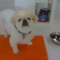 Foto tirada no(a) Bark Avenue Dog Grooming por Bark Avenue Dog Grooming em 11/17/2015