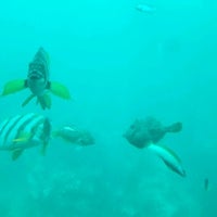 勝浦海中展望塔 Scenic Lookout In 勝浦市 勝浦海中展望塔 Scenic Lookout In 勝浦市