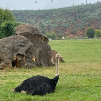 Photo taken at Parque de la Naturaleza de Cabárceno by N A J D 💁🏻‍♂️ on 7/22/2021