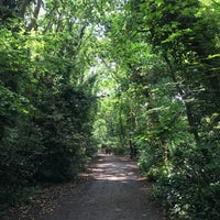 Photo taken at Parkland Walk (Crouch End to Highgate section) by N A J D 💁🏻‍♂️ on 5/27/2018