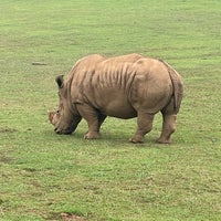 Photo taken at Parque de la Naturaleza de Cabárceno by N A J D 💁🏻‍♂️ on 7/22/2021