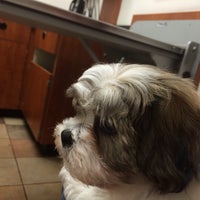 petsmart elston banfield