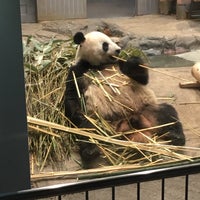 5/6/2017にAkiが上野動物園で撮った写真