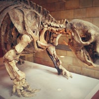 Photo taken at Natural History Museum by Laurel F. on 5/12/2013