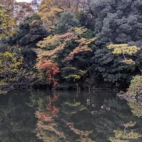 Photo taken at Sanshiro Pond by (o˘◡˘o) on 11/26/2023