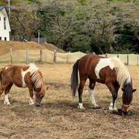 Photo taken at Hattori Farm by 和泉守 兼. on 10/14/2023