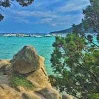 Le Bar Plage Santa Giulia 2 Tips From 86 Visitors