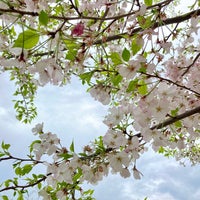 Photo taken at 蒔田公園 by さとみっち on 4/8/2024