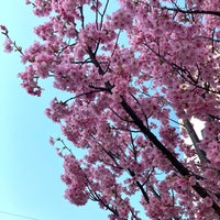Photo taken at 富士見川公園 by さとみっち on 3/15/2021