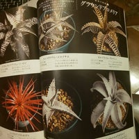 くまざわ書店 176 Ziyaretcidan 1 Tavsiye