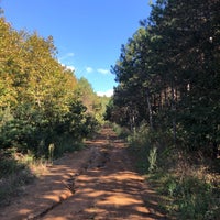 gaziler dagi mesire ormani gebze cayirova